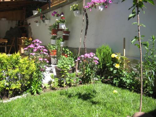 Aseva House Family Hotel - image 14