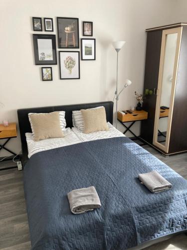 Bazsalikom-Apartman in Mezokovesd