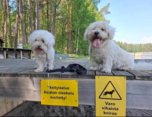 Villa Kallvik in Ramsinranta