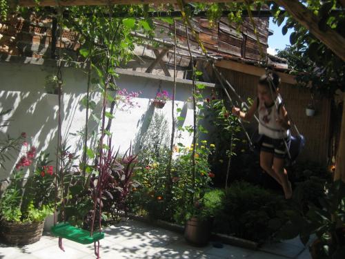 Aseva House Family Hotel - image 2