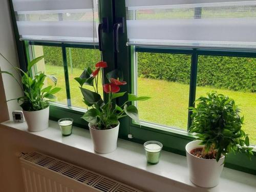 設施, an der Wunnow Comfortable holiday residence in 魯貝爾/米利茨