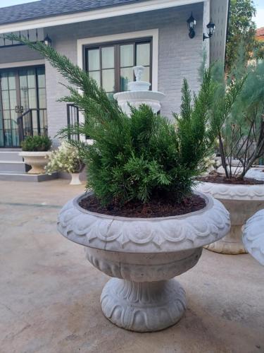 Zoom Garden Home in Bang Bua Thong