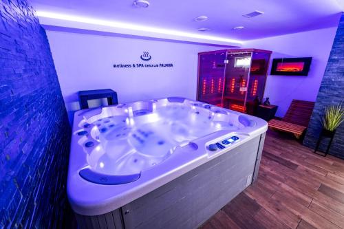 Spa, Hotel & SPA centrum PALMIRA in Uherský Brod