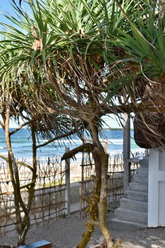 Casa Adelai in Bacon District