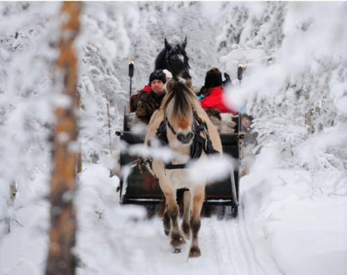 Koselig sommer og vinterhytte Koselig sommer og vinterhytte