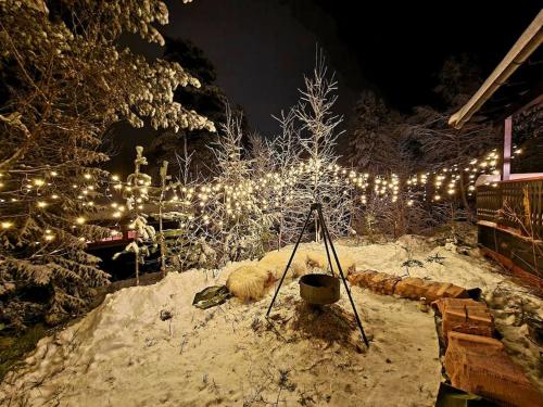 Koselig sommer og vinterhytte Koselig sommer og vinterhytte