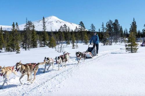 Koselig sommer og vinterhytte Koselig sommer og vinterhytte