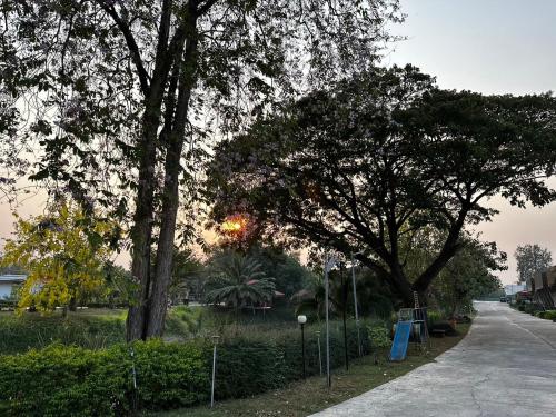 MJ Resort in Nong Phai - 정원