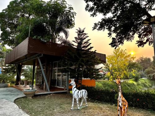 MJ Resort in Nong Phai - 정원