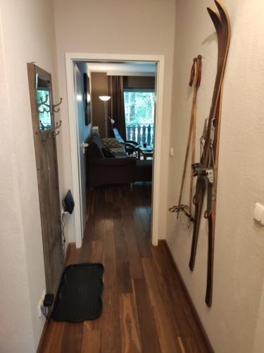 Eingang, Ferienwohnung "Merle", Braunlage mit Sky in Braunlage