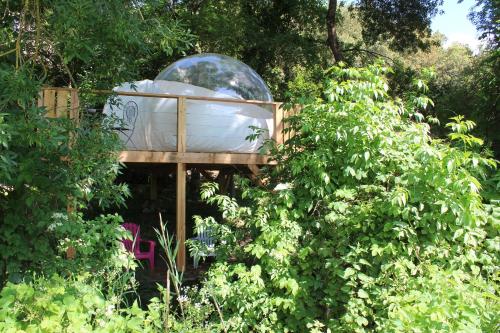 La bulle canopée gîte à louer Allègre-les-Fumades