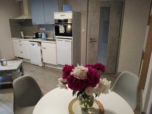 廚房, 維加汽車旅館 (Motel Vega) in 塞濟莫沃烏斯拉貝 I