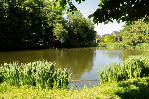 Surrounding environment, Gite L'Orangerie du Chateau D'Emalleville in Saint-Sauveur-d'Emalleville
