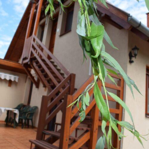 ทัศนียภาพภายนอกโรงแรม, Pasztor Vendeghaz in โปรอสซโล่