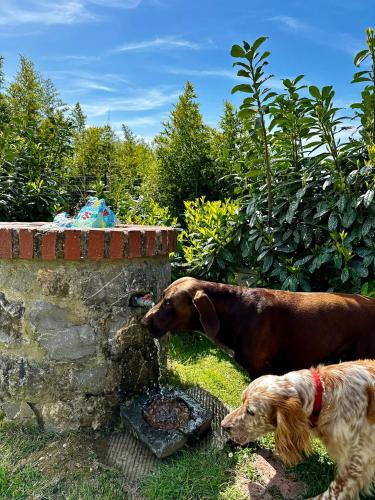 Il Villino del Daino - Toscana