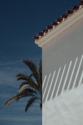 Bungalows El Arenal - image 11