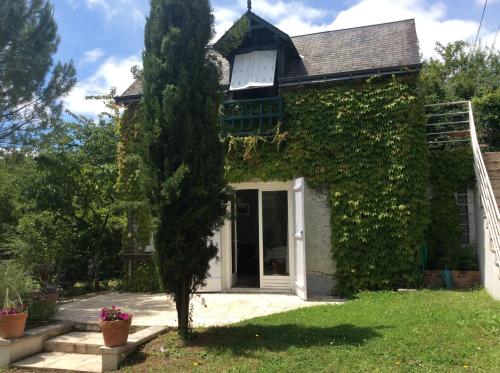 Vistas, le sequoia in Luynes