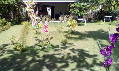 Malapascua Hideaway Resort Malapascua Hideaway Resort