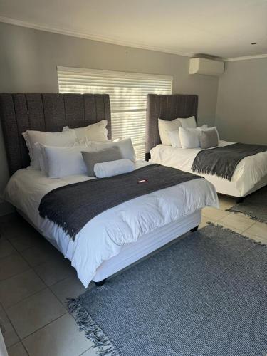 Albatros@21 Albatros@21