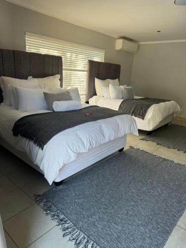 Albatros@21 Albatros@21