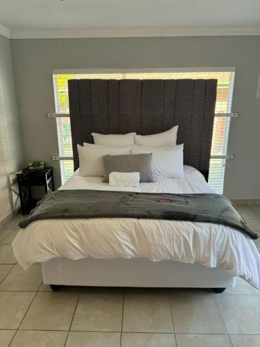 Albatros@21 Albatros@21