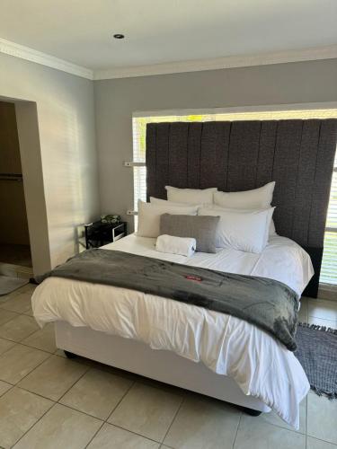 Albatros@21 Albatros@21