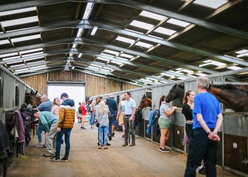 Pant Wilkin Lodges And Equestrian Centre