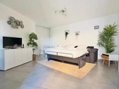 Le Cocon - 2 pièces centre Cannes - Terrasse