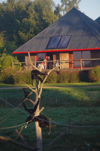 . Cerza Safari Lodge