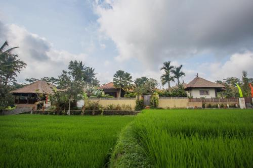 Ubud Luwih Villa