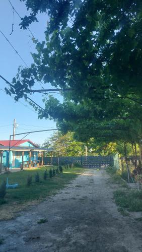 La Olteanu La Olteanu