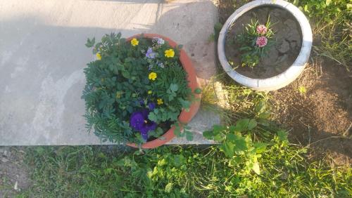 La Olteanu La Olteanu