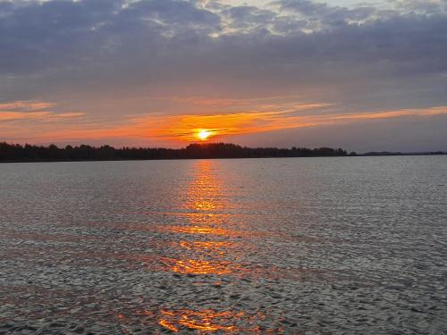 Siedlisko pod świerkami-Twój własny kawałek raju Siedlisko pod świerkami-Twój własny kawałek raju