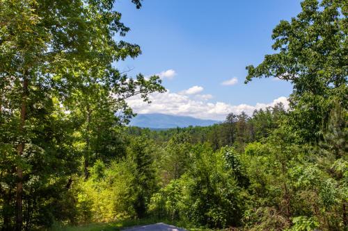 Scenic Seclusion w Hot Tub View PuttPutt More in Sevierville, USA