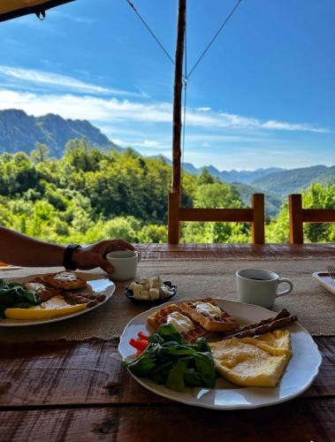 Food and beverages, Rosehip camp in Dimitrovgrad