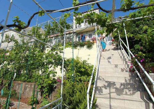 Apartments Cervelin