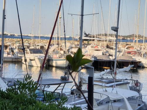 appartement 4 étoiles pieds dans l'eau - Location saisonnière - Cogolin