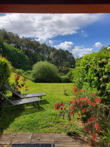 Appartement calme avec jardin Bidart Biarritz - Location saisonnière - Bidart
