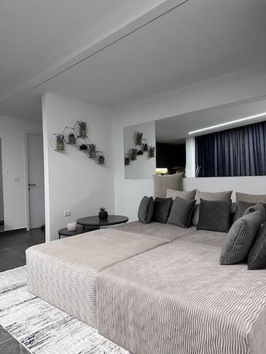 One-Bedroom Apartment image 10