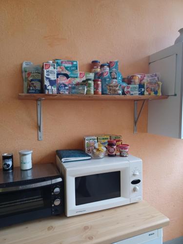 Zelten im vorhandenen Zelt im Loftcamp in Neusalza-Spremberg