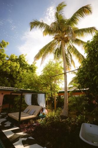 Thuishaven - boutique mini-resort 2