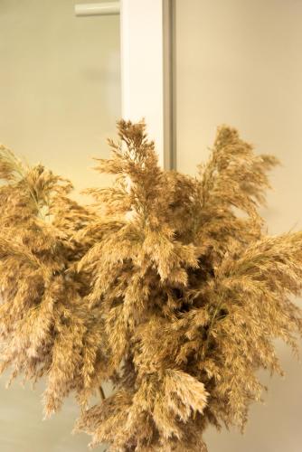 Victoria's Suites Corfu Victoria's Suites Corfu