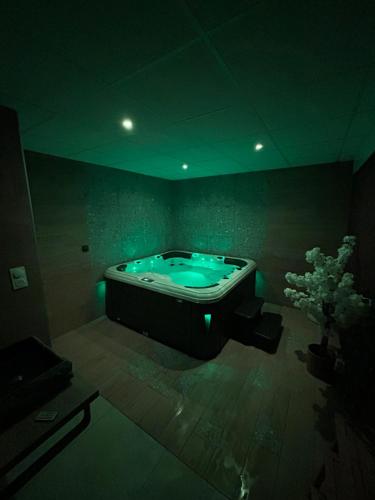 au coeur du spa family gîte à louer Le Fort-Vert