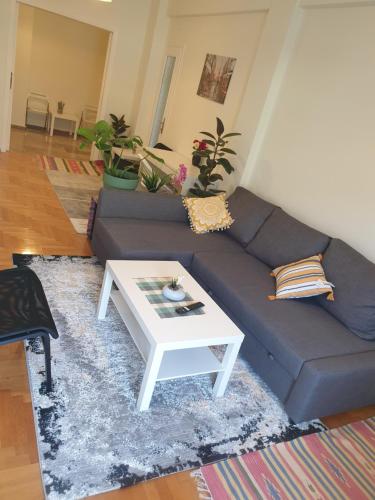 Lavender-Ryan spacious apartment for live and work in heart of Athens, Atenas