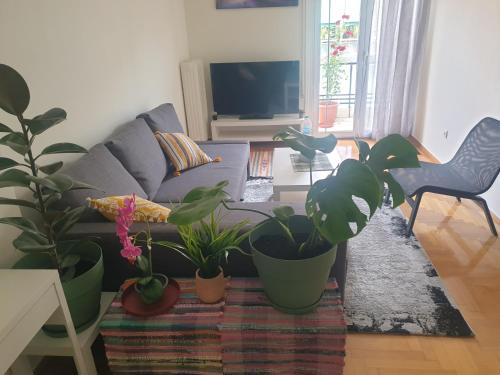 Lavender-Ryan spacious apartment for live and work in heart of Athens - image 14