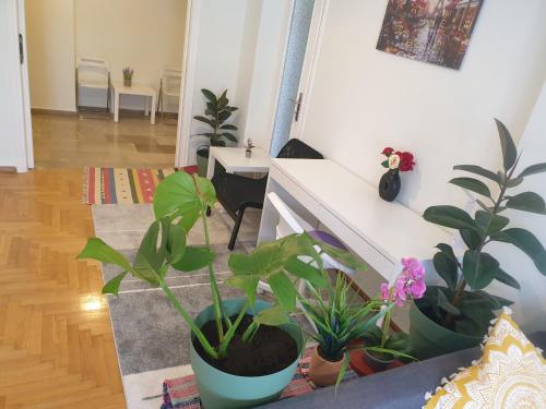 Lavender-Ryan spacious apartment for live and work in heart of Athens - image 4