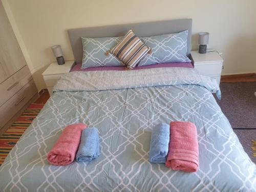 Lavender-Ryan spacious apartment for live and work in heart of Athens - image 2