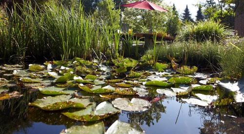 Hotel Waldblick Deppe