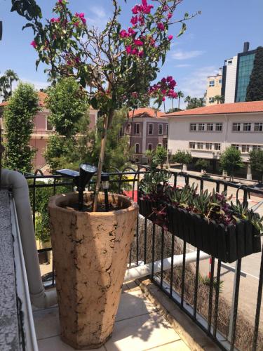 Antalya kaleiçi merkez muhteşem teras keyfi, Antalya (photo 8)