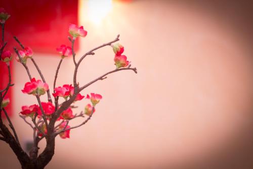 Hostal Palacio Madrid - image 8